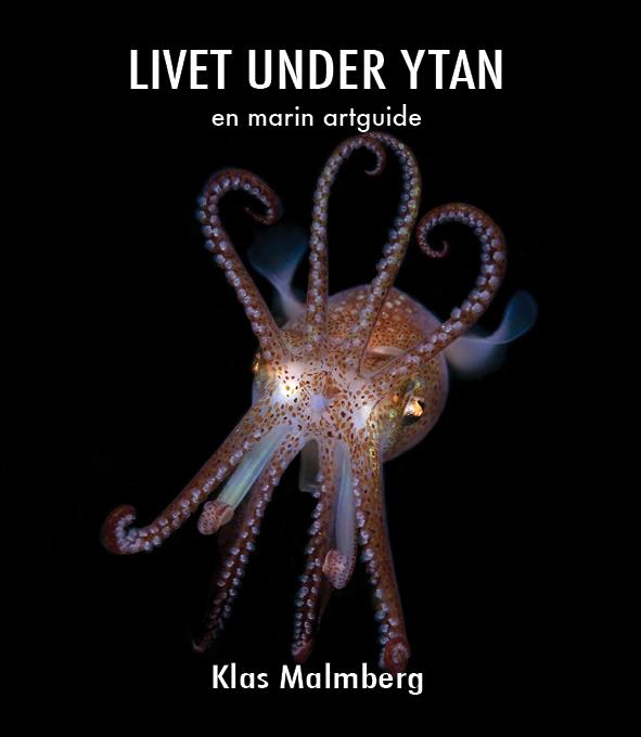 Marinbiologibok Livet under ytan